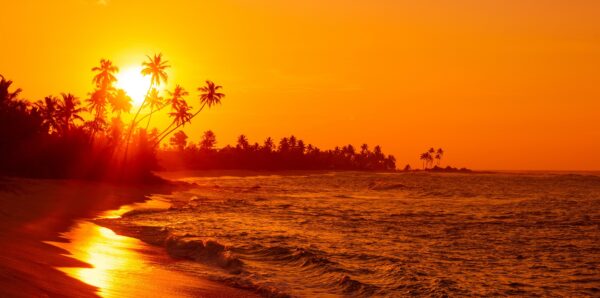 Golden sunset on a tropical beach, Samson shelves heavy-duty shelves